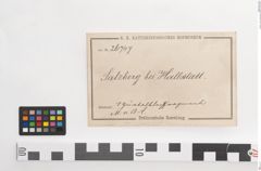 Etiketten zu Bronzegürtelblech (NHMW-PRAE-026747)
